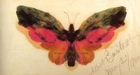 Bierstadt, Albert - Butterfly
